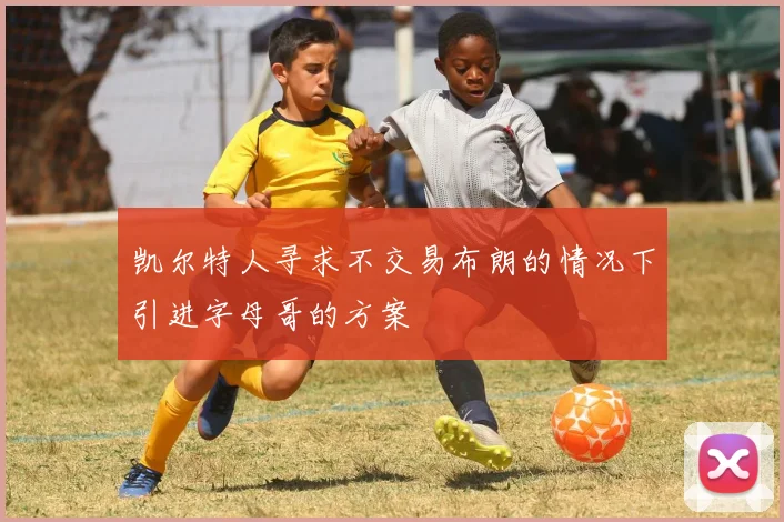 凯尔特人寻求不交易布朗的情况下引进字母哥的方案